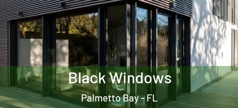  Black Windows Palmetto Bay - FL
