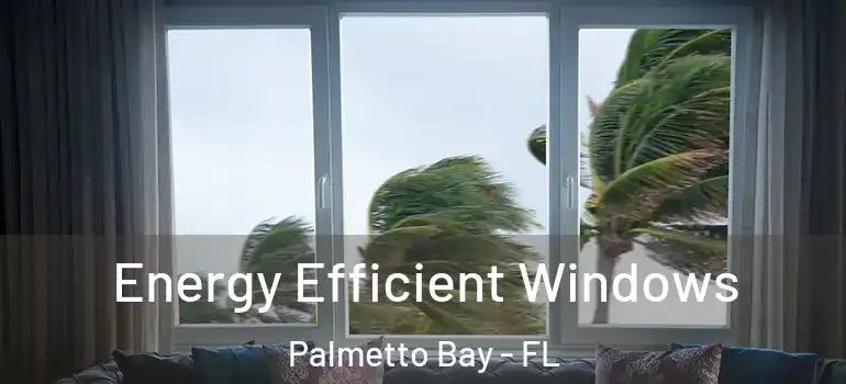  Energy Efficient Windows Palmetto Bay - FL
