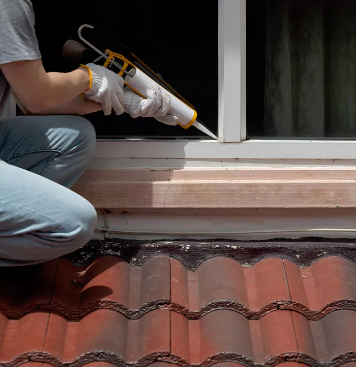 Roof Window Services in Palmetto Bay, Florida