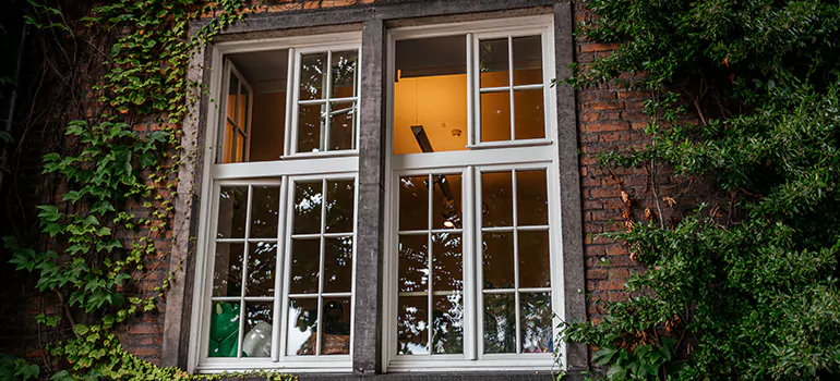 Energy Efficient Wood Windows in Palmetto Bay, FL