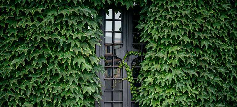 Garden Gate Repair in Palmetto Bay, FL