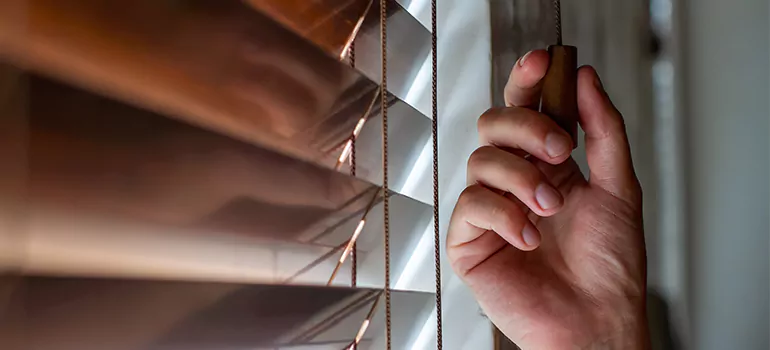 Double Roller Blinds in Palmetto Bay, FL