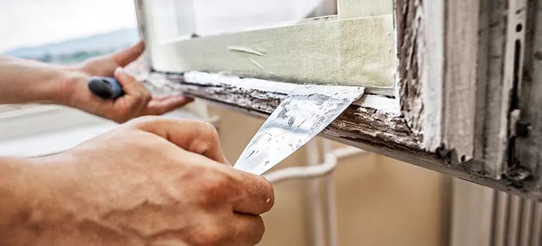 Exterior Window Frame Repair in Palmetto Bay, FL