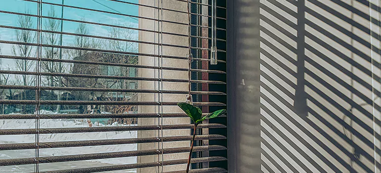 Commercial Window Blinds in Palmetto Bay, FL