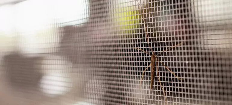 Repair Mosquito Mesh For Windows in Palmetto Bay, FL