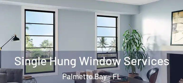  Single Hung Window Services Palmetto Bay - FL