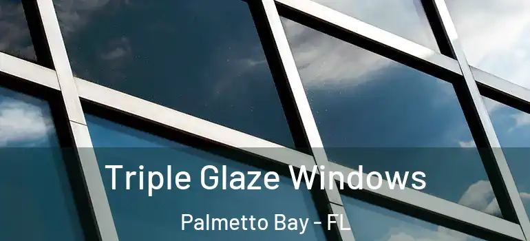  Triple Glaze Windows Palmetto Bay - FL