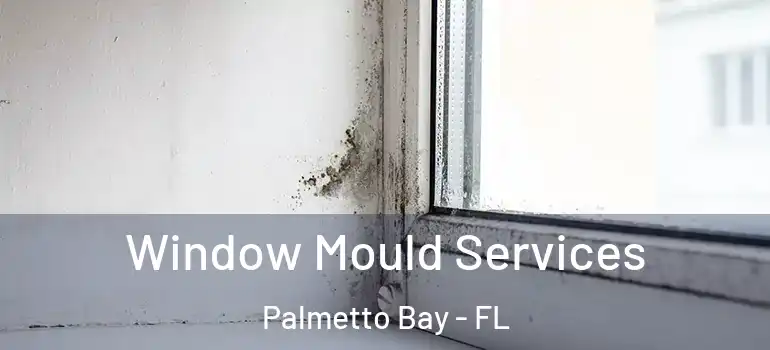  Window Mould Services Palmetto Bay - FL